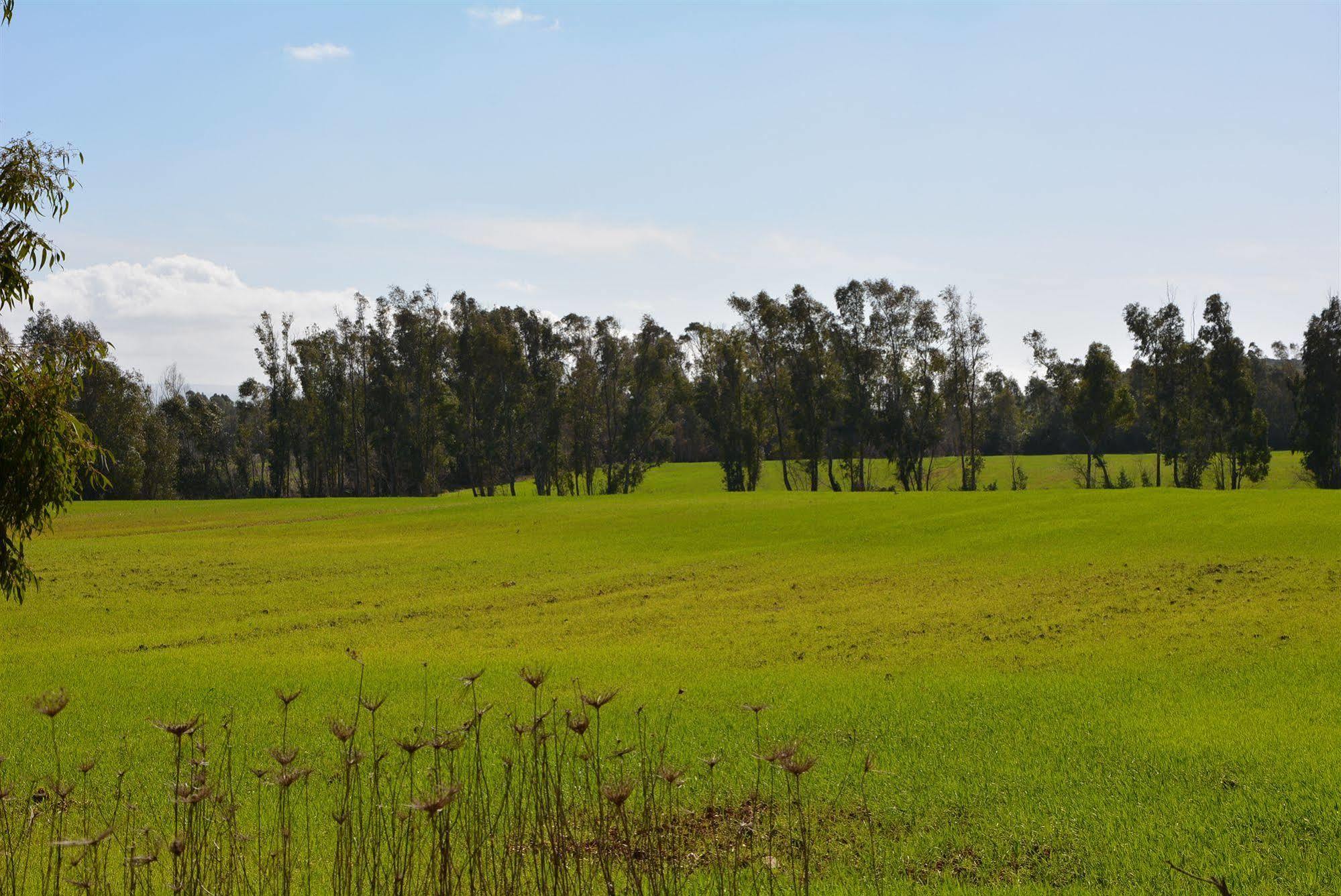 Agriturismo Sa Murta In Sennariolo-Oristano Kültér fotó
