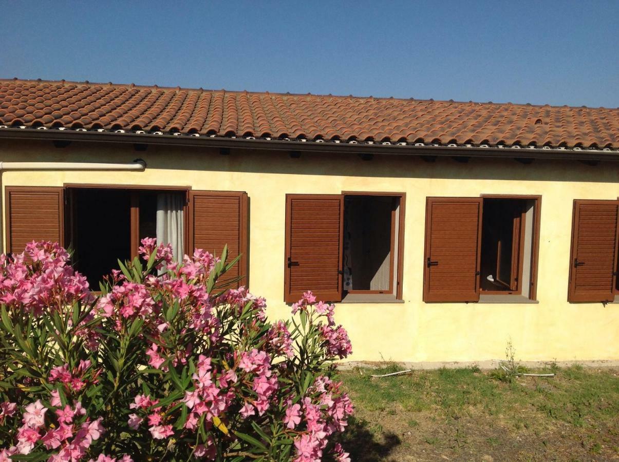Agriturismo Sa Murta In Sennariolo-Oristano Kültér fotó